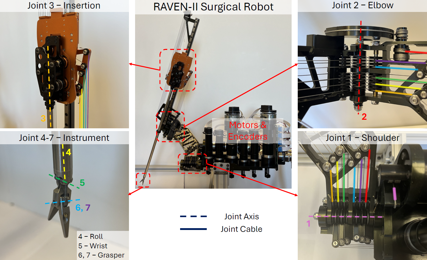 raven_cable